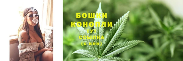 PSILOCYBIN Белокуриха
