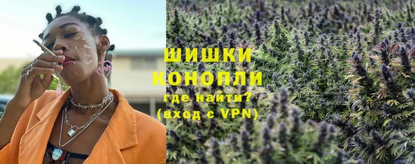 PSILOCYBIN Белокуриха