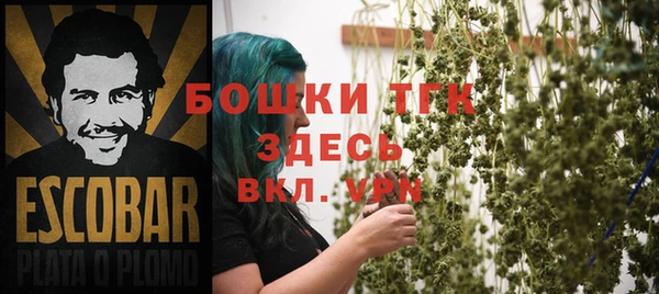 PSILOCYBIN Белокуриха