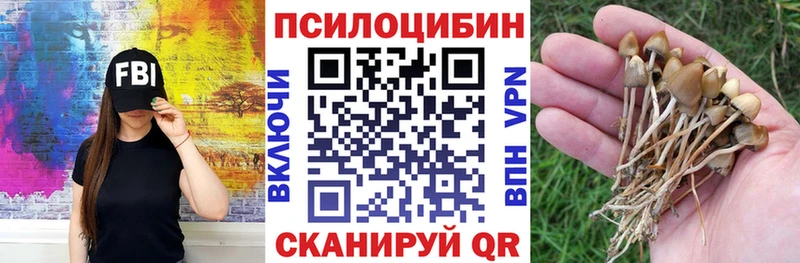 Галлюциногенные грибы Magic Shrooms  Шацк 